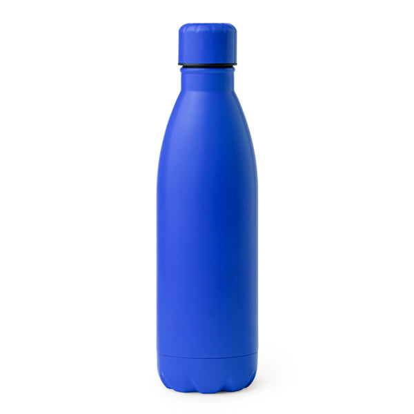 Stainless Steel Bottle - Blue