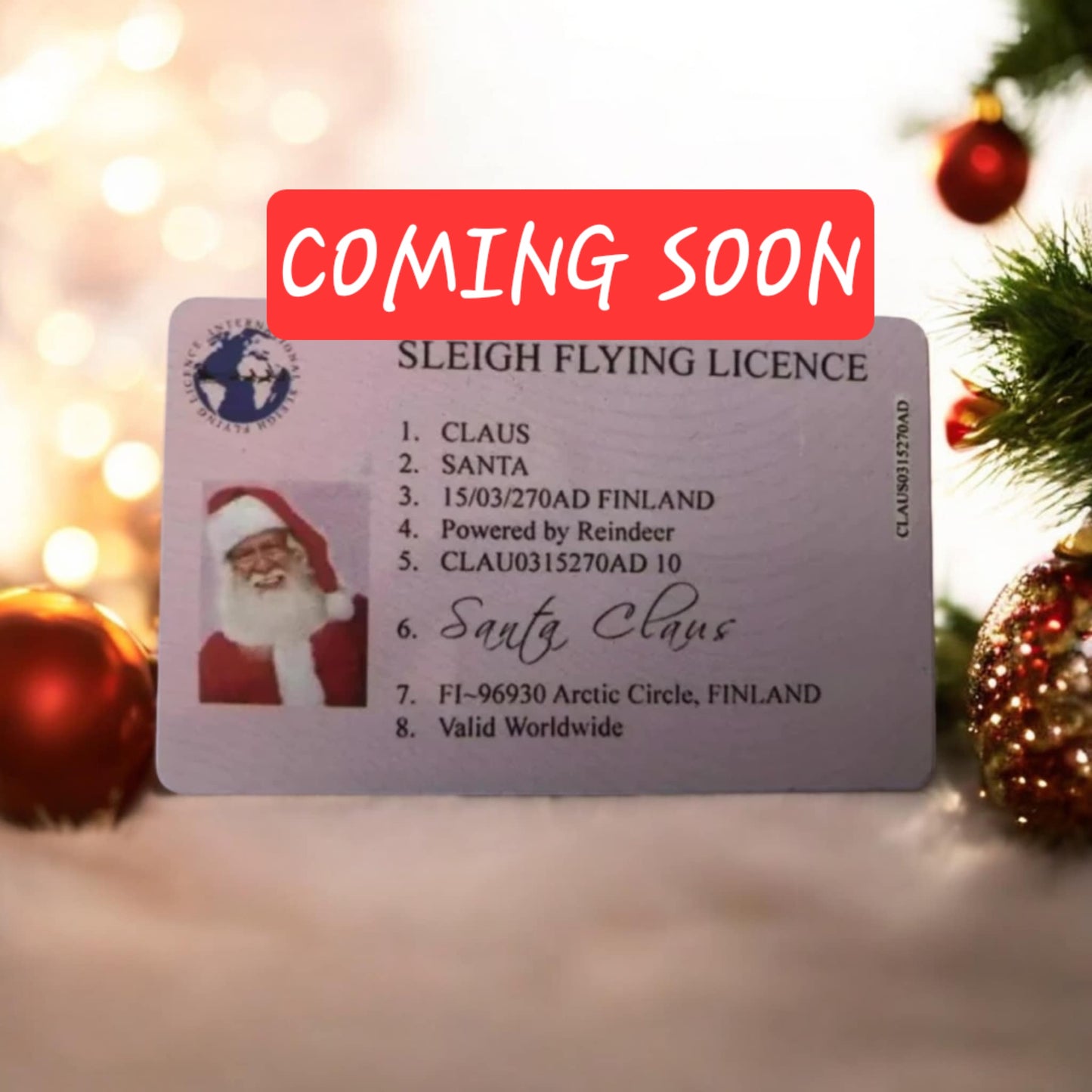 New Design Santa License