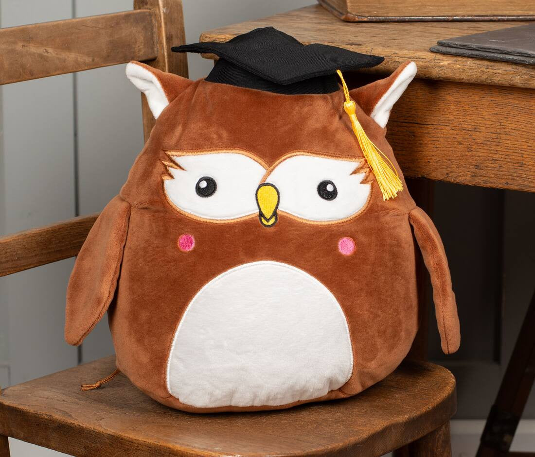 Owl Graduation Squishy