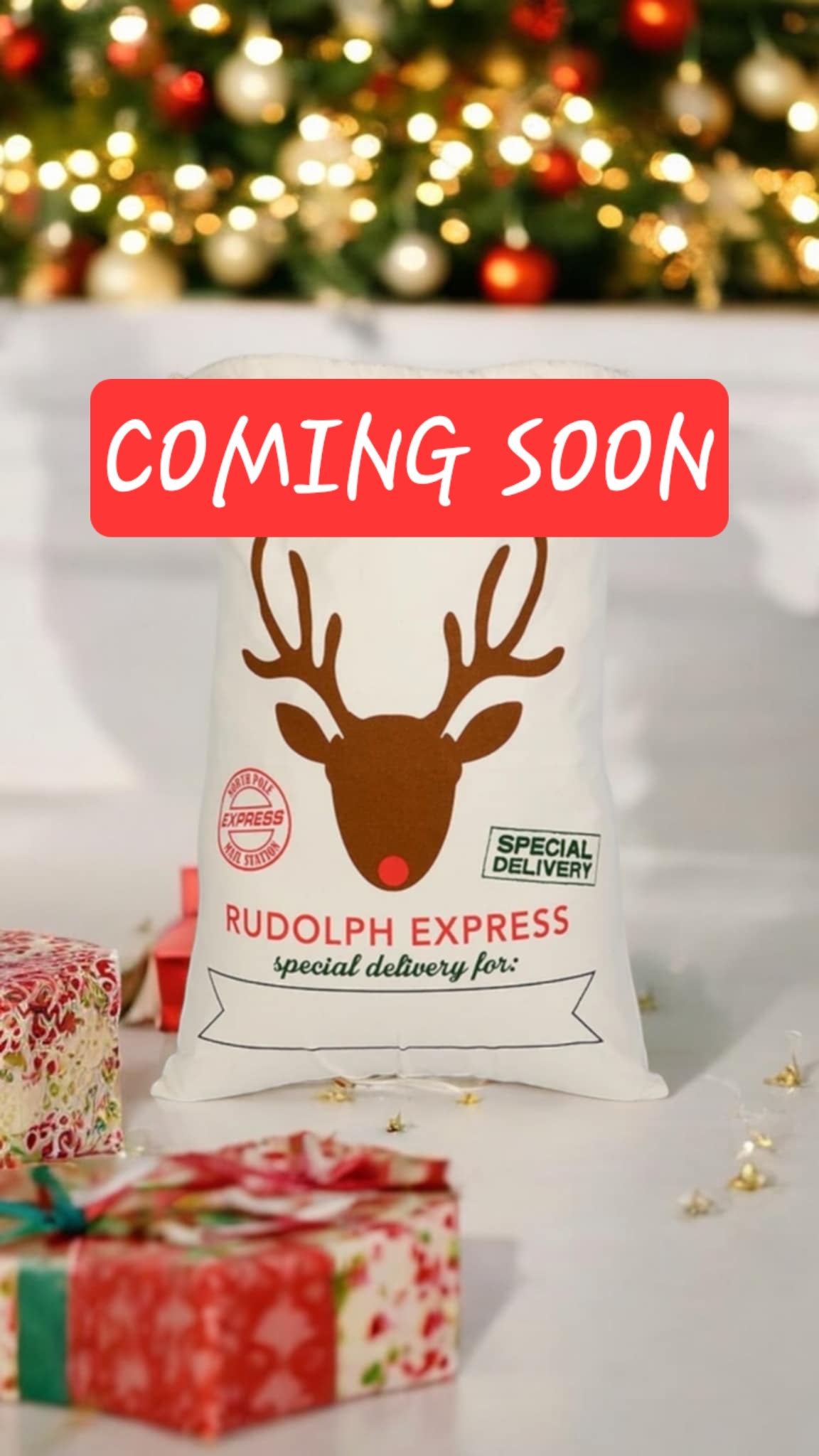 Rudolph Express Christmas Sack